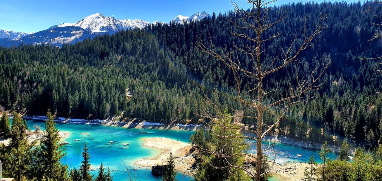 Ferienwohnung 3,5 Zimmer Direkt An Ski- Und Bikepiste Φιλμς Εξωτερικό φωτογραφία